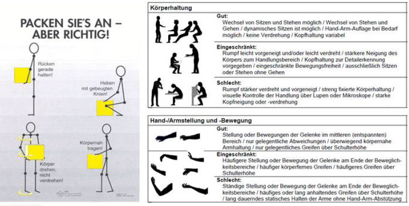 Wie trägt und hebt man richtig